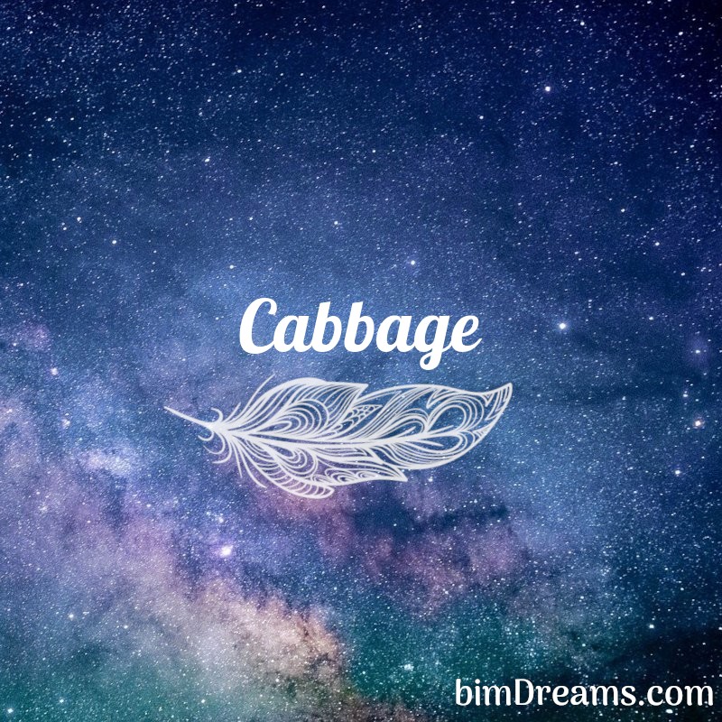 Cabbage