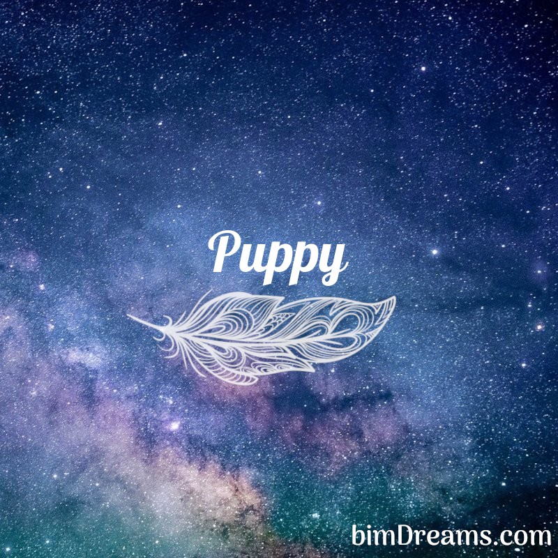 Puppy